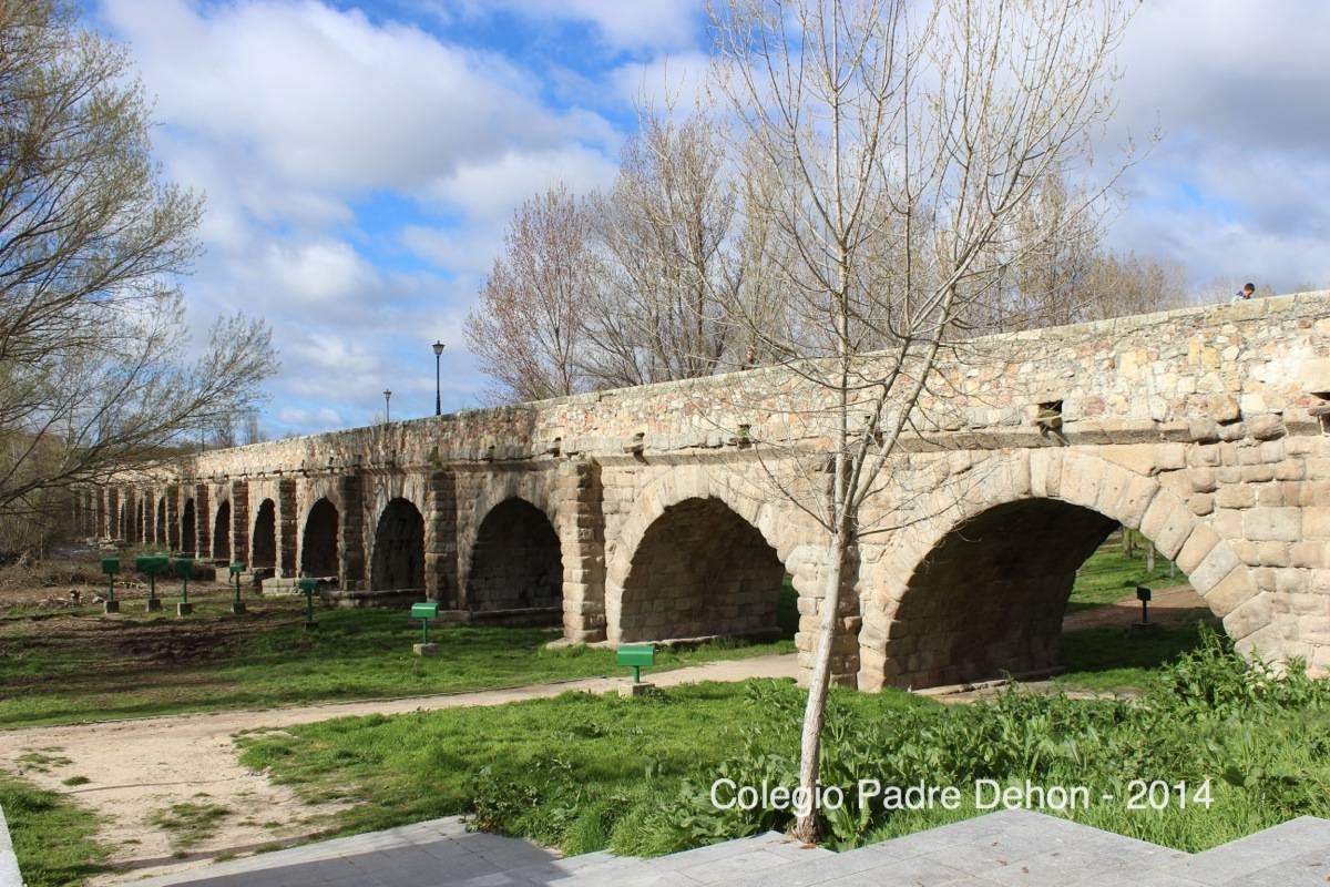 2014 03 22 SALAMANCA PUENTE ROMANO (7)